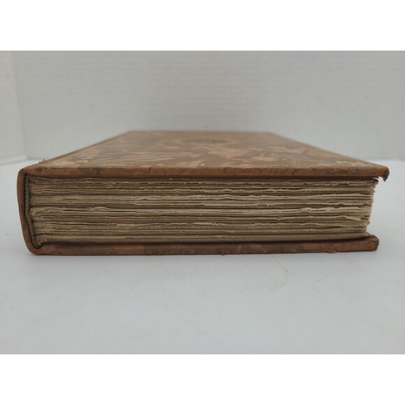 Zibeline Philippe De Massa The Immortals French Academy Medallion 1905 - Picture 4 of 9